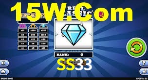 SS33