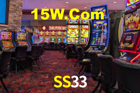 SS33